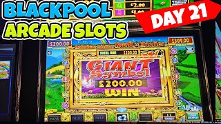 Day 21: The Blackpool Slot Chase—Looking for Big Wins!