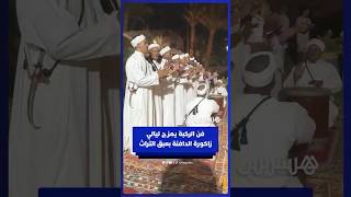 بقيادة القطراوي.. فن الركبة يمزج ليالي زاكورة الدافئة بعبق التراث thumbnail