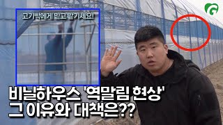 비닐하우스 '개폐기 역말림현상' 그 이유가 대책은?