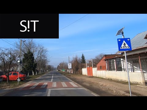 Dascalu Judetul Ilfov In Trafic