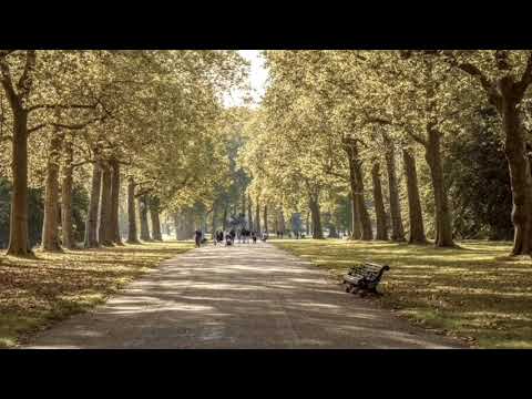 Fahe malu ne mosu los mai ita