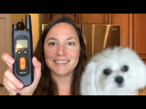 NVK Dog Training Collar Review