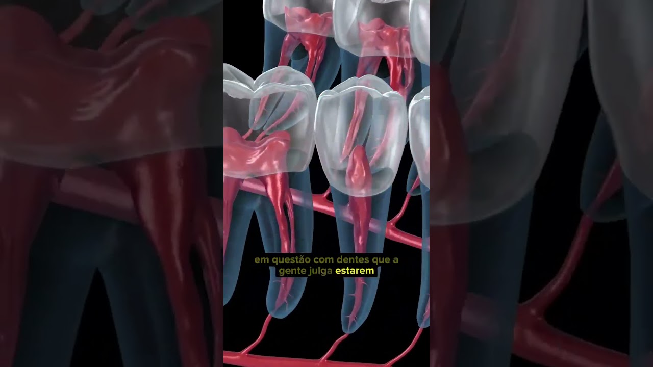 Cassia Cestari Toia-21