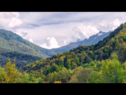 GLOBALink | China's unique process of modernization in eyes of African youth