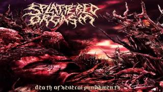 Splattered Orgasm - Death Of Several Punishment (2013) {Full-EP}