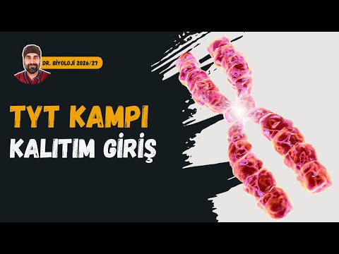 Kalıtıma Giriş | Dr. Biyoloji | Dönem 2026 - 2027