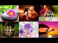 Whatsapp Dps Status Dps For Whatsapp Cute Dps Dp Images Beautiful Dps Latest Dps