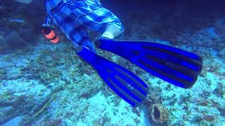 Cozumel 2023, Day 2, Dive 2, Part 3