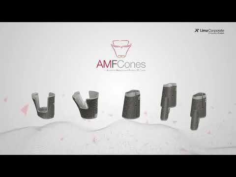 B-6C10-23-000-2_112200_VST_AMF-TT-CONES_EN