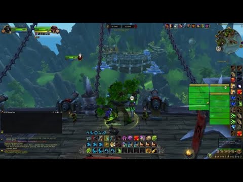 Dragonflight 10.1 Feral Druid PVP Seething Shore