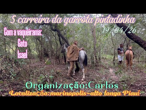 5• carreira da ￼garrota pintadinha￼ local Marinópolis município Alto longa Piauí #￼ ￼ Pega de boi ￼