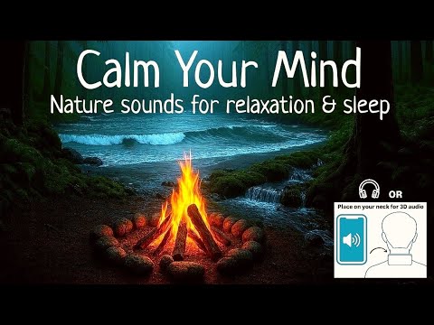 Forest, Ocean, Rain & Night Sounds