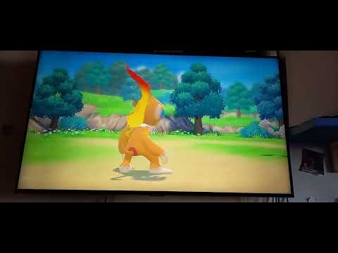 battiamo la palestra di tipo spettro