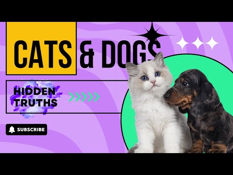 Hidden Truths About Cats & Dogs