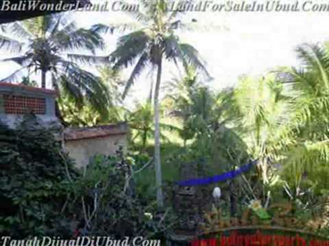 Bagus 430 m2 Lahan dengan Galery di Sentral Ubud TJUB443 Bagus 430 m2 Lahan dengan Galery di Sentral Ubud TJUB443
