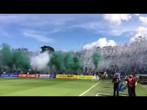 "RECIBIMIENTO EN EL CLÃSICO" Barra: Los del Sur &bull; Club: Atlético Nacional