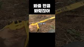 Download lagu Korean real story! I gave you enough... Cheonan lover's air gun murder case mp3