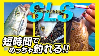 【SLS】短時間で釣果マシマシ！静岡県のサーフでスーパーライトショアジギング｜長坂隆矢