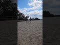 Jument ONC typ&eacute;e Espagnole 9 ans 