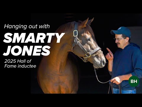 Smarty Jones at Equistar Training and Breeding