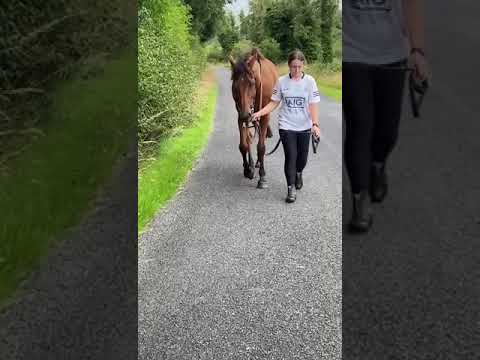 Video 2