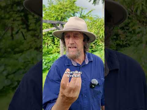 Beyond Gardening Tips