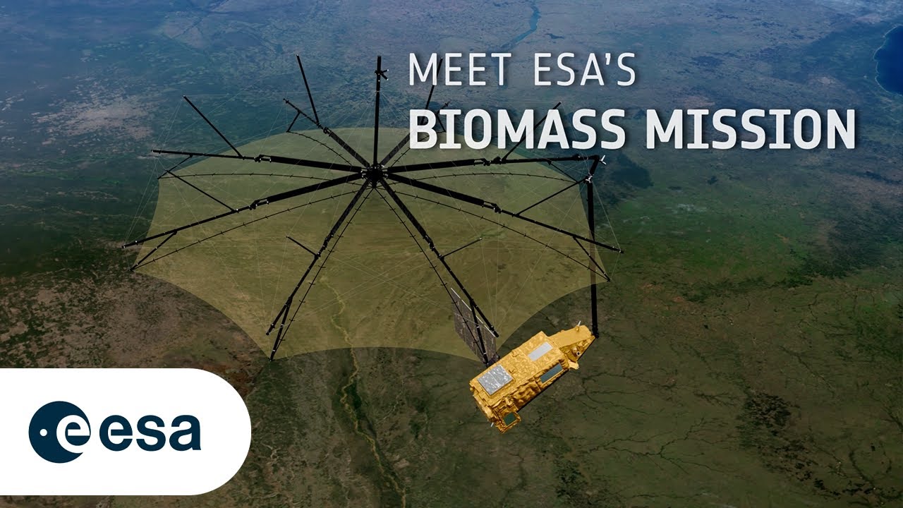 Meet Biomass