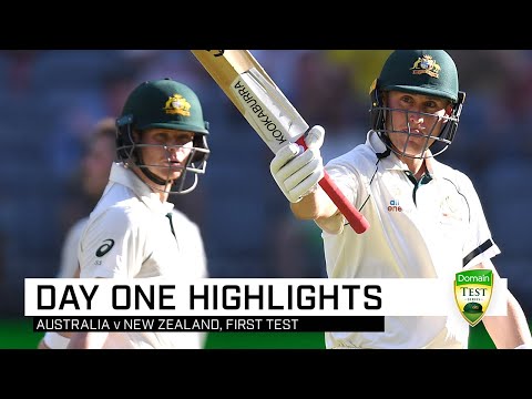 download lagu mp3 mp4 Cricket Contest, download lagu Cricket Contest gratis, unduh video klip Cricket Contest