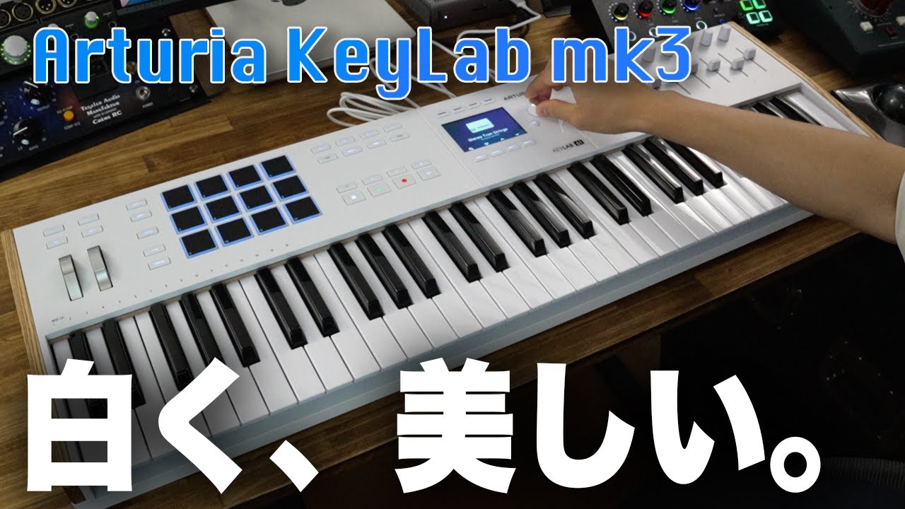 YouTube動画
