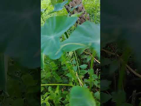 please 🙏 Follow me 🌹