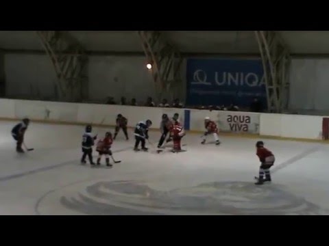 Hokej U12 prijateljska CZ-Partizan2 9-0 (I poluvreme)