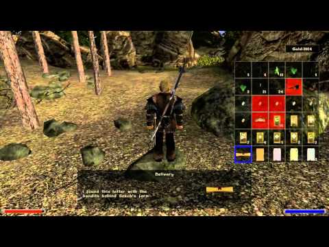 Let's Play - Gothic 2 - Night of the Raven - 31 - Climbing the Mountain