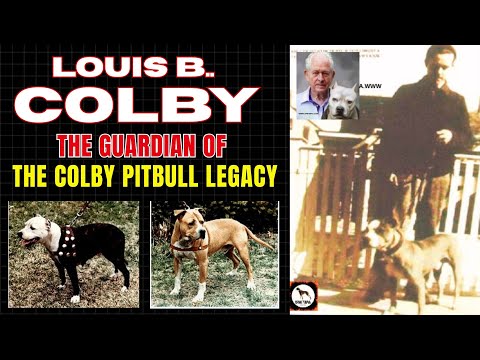 LOUIS B. COLBY | The Guardian of the COLBY PIT BULL HISTORY
