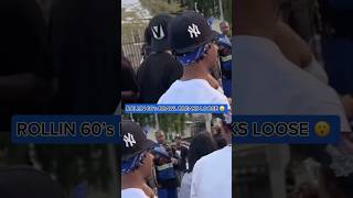 Rollin 60’s Brawl Breaks Loose 😮 #rollin60s #neighborhood