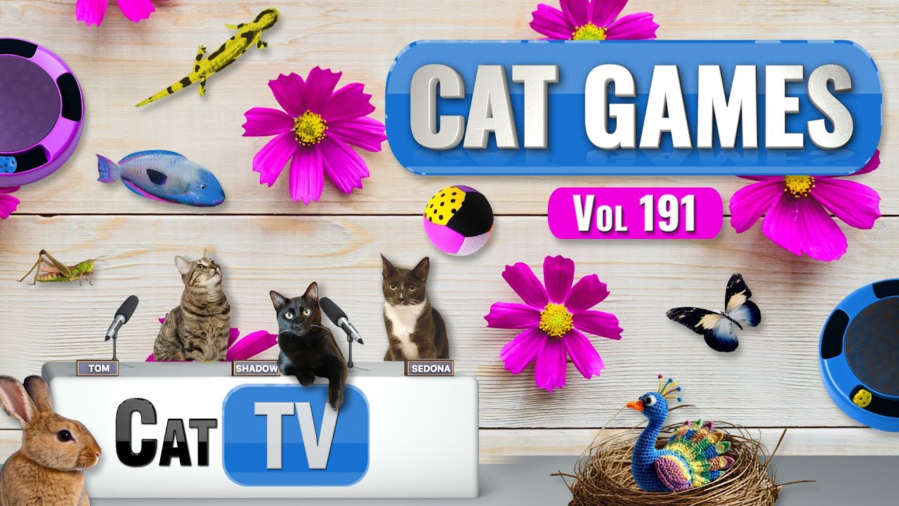CAT Games | Ultimate Cat TV Compilation Vol 191 | 8 HOURS  🐝🐞🦋🦎🦜🐜🐭🧵