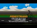 Msena Ngoi Ninga _ Pedestrians(Animation Lyrics Video)