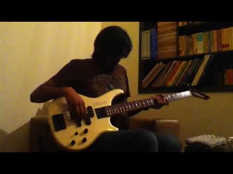 Amir Aly Bass Guitar Skills