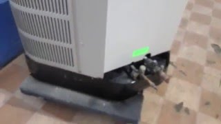 Gp3ra 036 免费在线视频最佳电影电视节目 Viveos Net