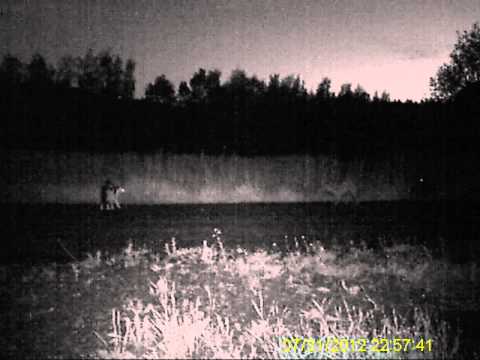 Misu ajaa supit pois