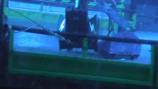 Kronic Vs Thor Vs Beast