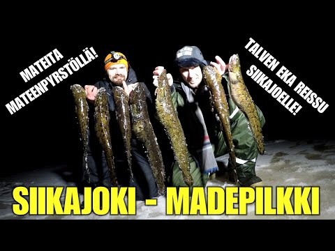 SIIKAJOKI MADEPILKKI - KAUDEN EKA MADEREISSU SIIKAJOEN ALAPESÄÄN! ( Oulun lähialueen kalapaikat )