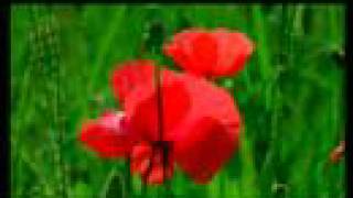 flora´s secret  ENYA