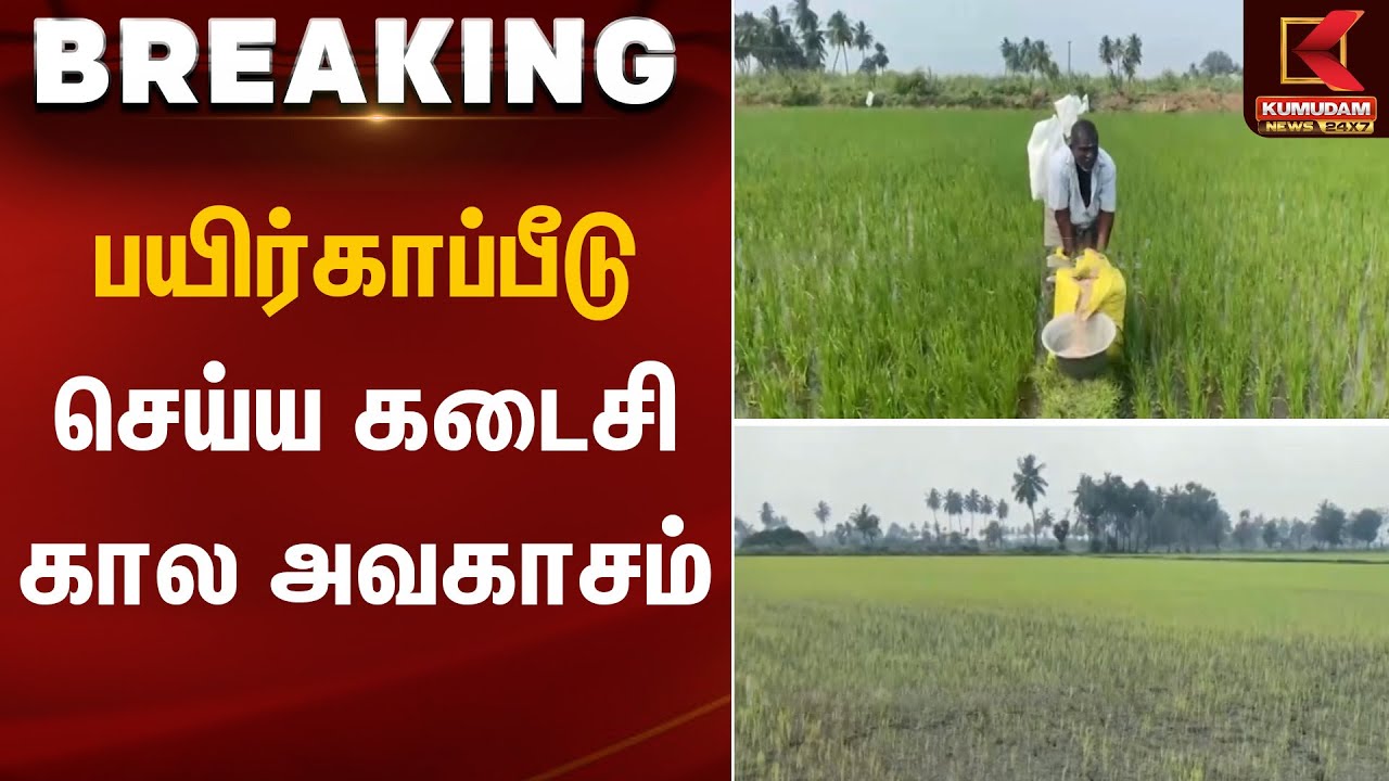 பயிர்காப்பீடு செய்ய கடைசி கால அவகாசம்  | Crop insurance last date | Kumudam News