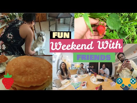 Strawberry Picking from Backyard Farm and Fun time with Coco | Life in USA | Indian Vloggers