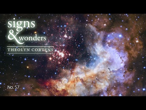 Signs & Wonders no. 57: The Silent Void