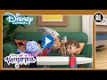 Vampirina | Niemand Doet wat Edgar Doet! | Disney Channel NL