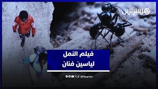 فيلم النمل لياسين فنان يكشف العوالم الخفية للمربيات الإفريقيات ومسارات الهجرة عبر المغرب thumbnail