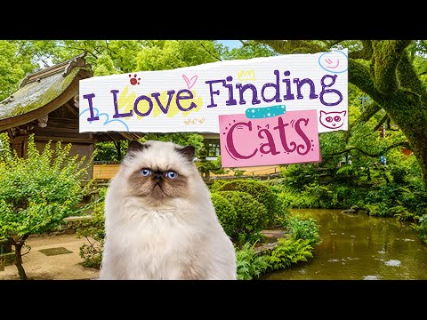 I Love Finding Cats Collector's Edition Trailer thumbnail