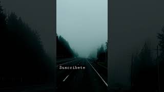 Download lagu #youtubeshorts #tarzanboy #baltimore mp3 Download lagu #youtubeshorts #tarzanboy #baltimore mp3