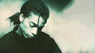 Introducing the Hardline According To... Remixes &amp; B-Sides - Terence Trent D'Arby/ Sananda Maitreya